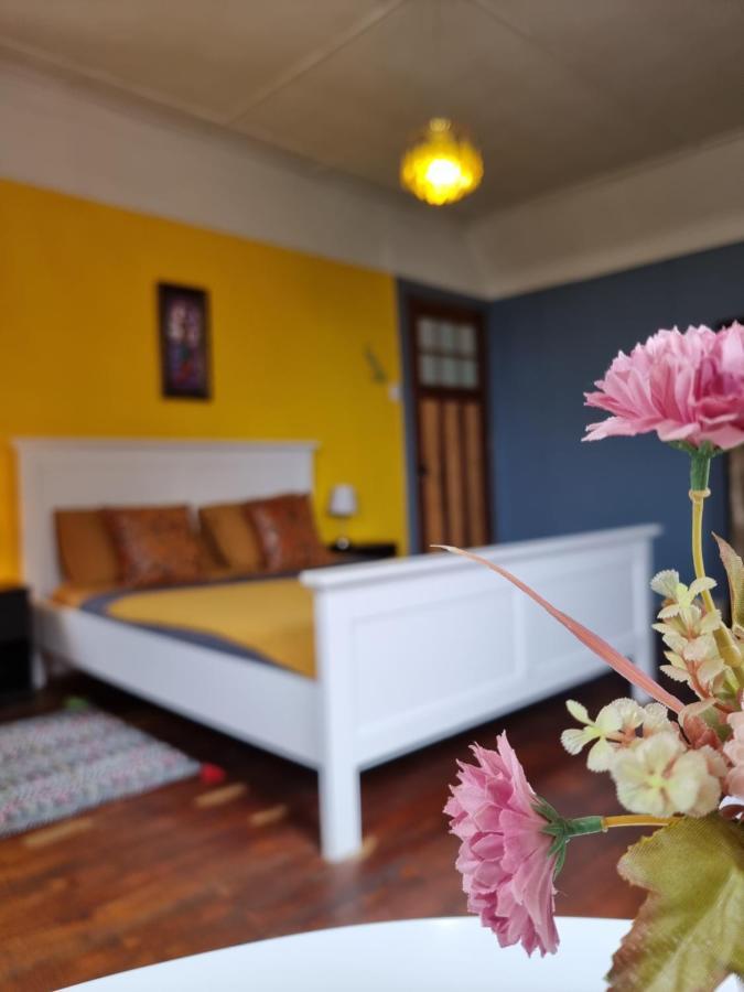 Meraki Hostel - Cerro Alegre - ヴァルパライソ エクステリア 写真